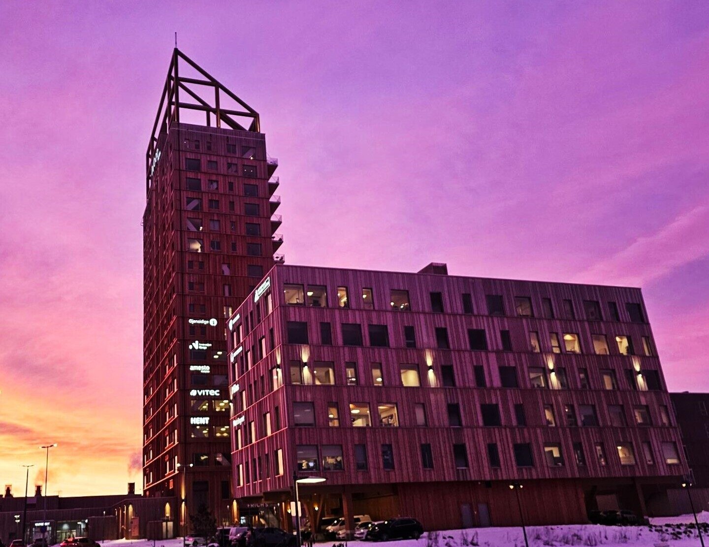 Photo: Mari Blokhus Nordtun