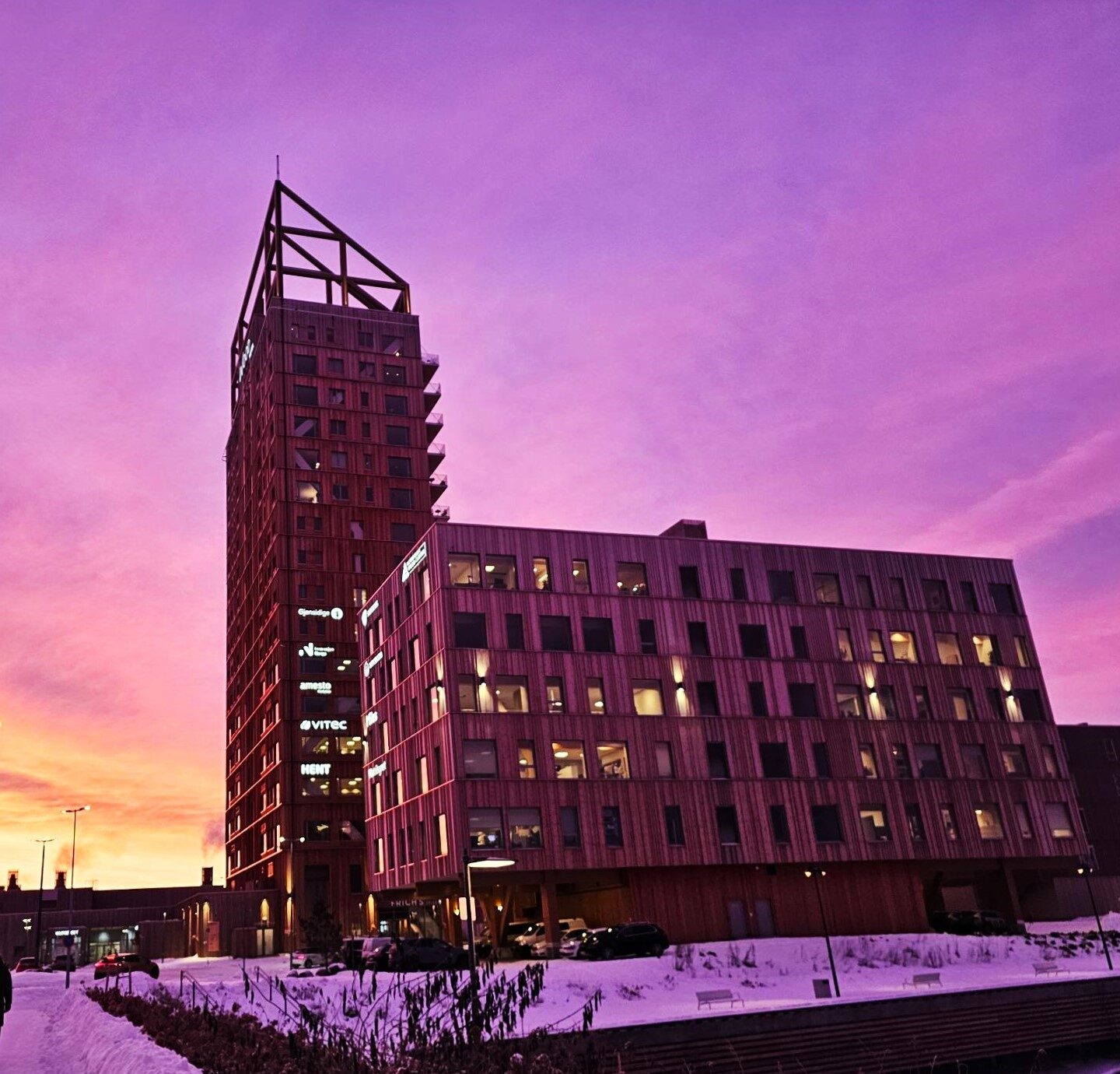 Foto: Mari Blokhus Nordtun